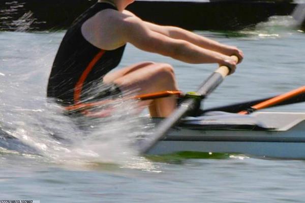 体育培训机构综合评价写作思路解析(图1)